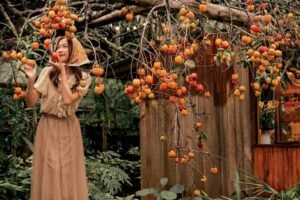 ĐẶC SẢN 3 MIỀN